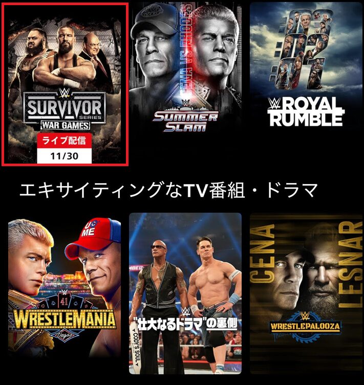 サバイバーシリーズ2025