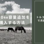 【不可】Google Oneの容量追加が月額31円！VPNでトルコから安く買う