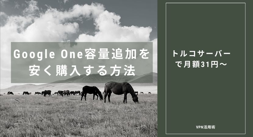 【不可】Google Oneの容量追加が月額31円！VPNでトルコから安く買う