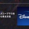 海外旅行中に日本版ディズニープラスを見る！日本語字幕や吹き替えの視聴方法