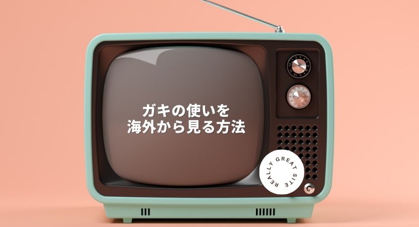 ガキの使い（ガキ使）笑ってはいけないシリーズなどを海外から視聴する方法