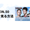 海外からRIZIN.50（ライジン）を視聴する方法【最安値は？】