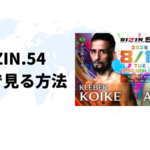 海外からRIZIN54（ライジン54）を視聴する方法【最安値は？】