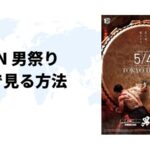 海外からRIZIN男祭り（ライジン）を視聴する方法【最安値は？】