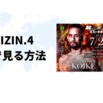海外から超RIZIN4（スーパーライジン）を視聴する方法【最安値は？】