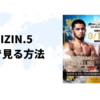 海外から超RIZIN.5 浪速の超復活祭りを視聴する方法【最安値は？】