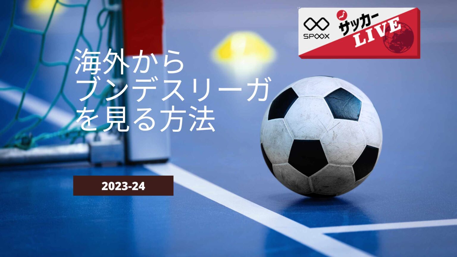 【最新】ブンデスリーガ2023-24を海外から見る方法【VPN】